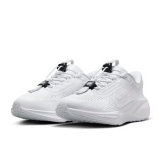 Nike Pegasus easy on
