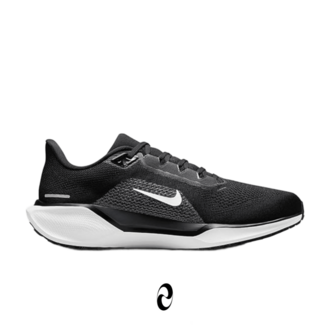 Nike Pegasus 