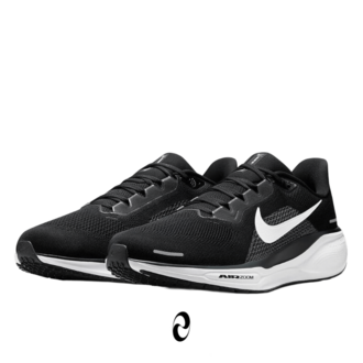 Nike Pegasus 