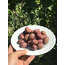 siyah çizik zeytin (2 kg)