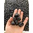 sele zeytin 
