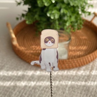 Cat Meme Sticker Seti