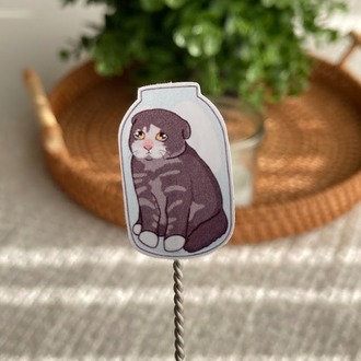 Cat Meme Sticker Seti