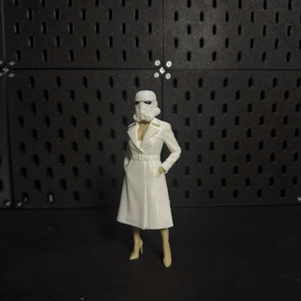 Stormtrooper Secretary
