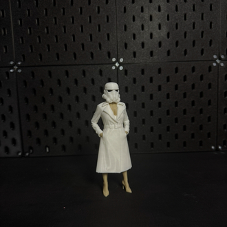 Stormtrooper Secretary