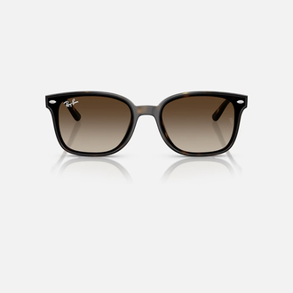 Ray-Ban RB4461D 710/13 64