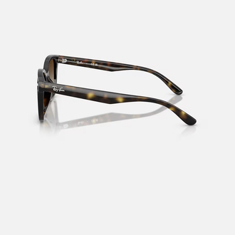 Ray-Ban RB4461D 710/13 64