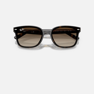 Ray-Ban RB4461D 710/13 64