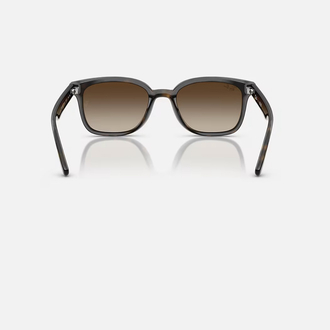 Ray-Ban RB4461D 710/13 64