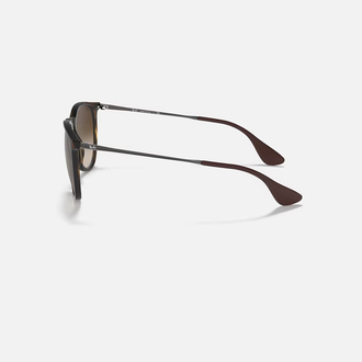 Ray-Ban RB 4171 ERIKA 865/13  54