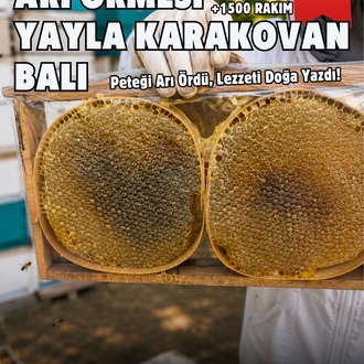 ARI ÖRMESİ YAYLA KARAKOVAN BALI 1500 GR