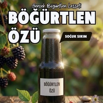 BÖĞÜRTLEN ÖZÜ 1400 ML