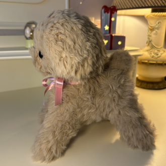 Yavru köpek 
