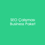Business SEO Paketi
