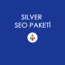 Silver SEO Paketi
