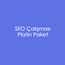 Platin SEO Paketi