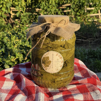 5 L Bağlıca Yaprak Salamura Asma Yaprağı