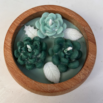 Sukulent şekilli soya wax