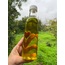 Sızma Zeytinyağı (250 ml)