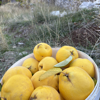 AYVA (yayla) (1 kg)