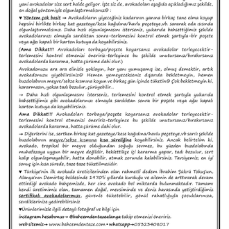 Fuerte Avokado (10 adet)