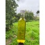 Sızma Zeytinyağı (250 ml)