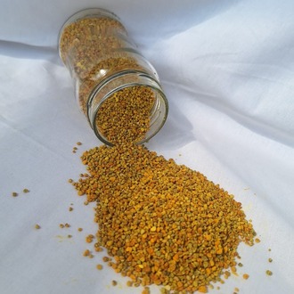 SAPANCA YAŞ POLEN / 320 cc net 200 gr