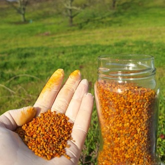 SAPANCA KURU POLEN// 320 cc net 200 gr