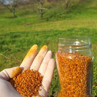 SAPANCA YAŞ POLEN / 320 cc net 200 gr