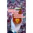 SAPANCA AÇIK RENK HAM ÇİÇEK BALI 660CC/ NET 900 GR