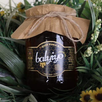 850 gr Balyiyo Organik Bal