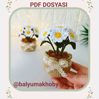 Saksıda Papatya Pdf Tarifi
