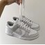 Nike Dunk Gri