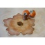 Pumpkin Meyvelik