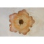 Pumpkin Meyvelik