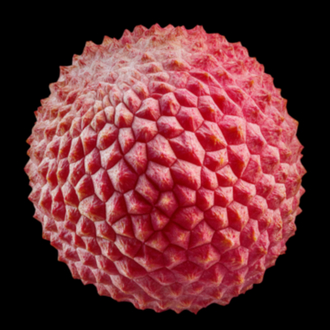 Realistik Litchi (Liçi) Silikon Kalıp – Profesyonel Seri
