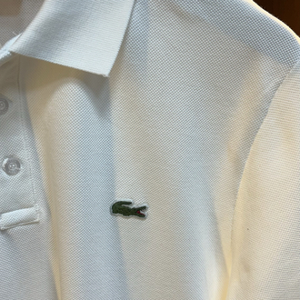 Lacoste Basic Premium Polo Yaka T-shirt