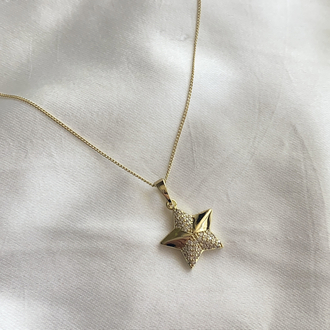 14K STAR KOLYE 