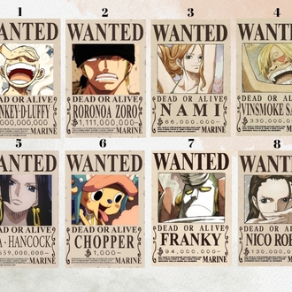 One Piece Wanted Mini Ayraç