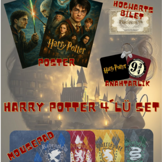 Harry Potter 4'lü Set