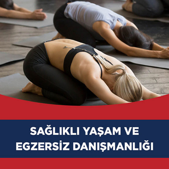 Sağlıklı Yaşam ve Egzersiz Danışmanlığı (1 seans) (Ankara)