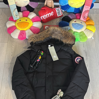 Canada Goose “Down Jacket”