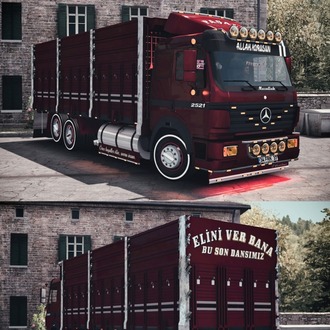 Mercedes Benz 2521