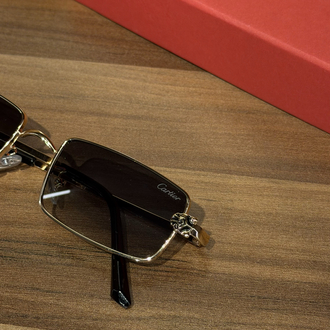 CARTIER ITHAL GÖZLÜK 07