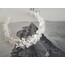 SeaShell