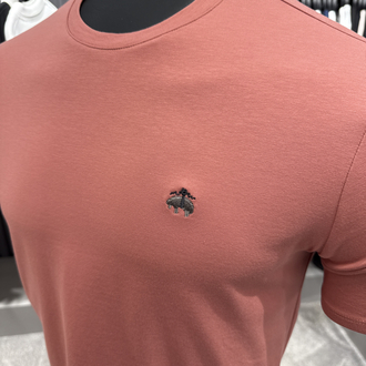 Premium Brooks Brothres T-shirt (2245-Somon)