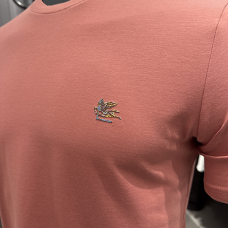 Premium Etro T-shirt (2238-Somon)