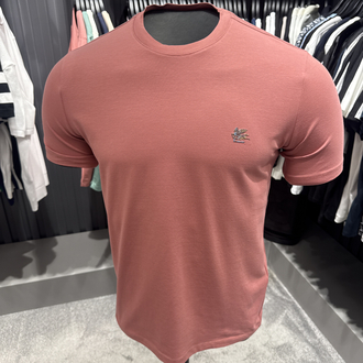 Premium Etro T-shirt (2238-Somon)