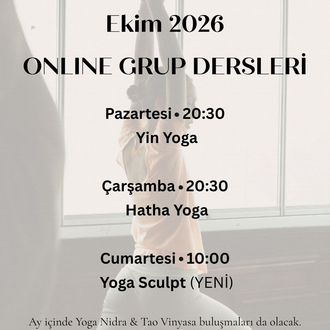 Tek Ders