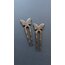 Fiyonk